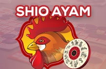 SHIO AYAM